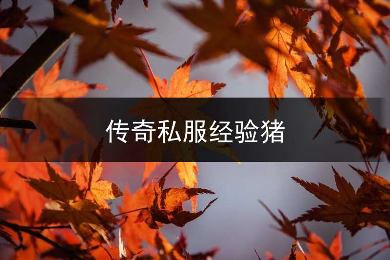传奇私服经验猪(传奇经验倍数设置)